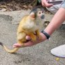 たけい 的头像