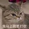 库迪在逃煜泽's profile picture