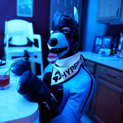 doggo_hyper1's profile picture