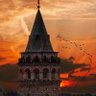 Profilbild von Barış