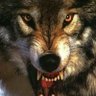 BIG WOLF JAY's profile picture