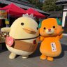 とく🐯 的头像