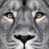 Circus 🇨🇦 profil fotoğrafı