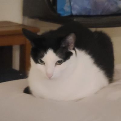 lucky8989_'s profile picture