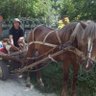 Фото профиля Вінницький вуйко