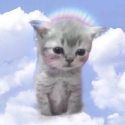 羊羊西's profile picture