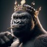 Daniel's profile picture