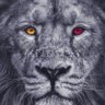 Veysel Tatoğlu profil fotoğrafı