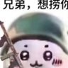 Profilbild von 芝士雪豹