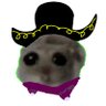 Varón vain's profile picture