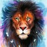 David Walker's profile picture