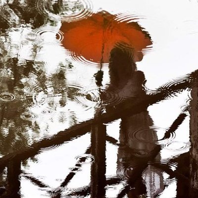 WachZyklus's profile picture