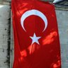 Pesimist's profile picture