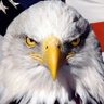 Jayhawk13's profile picture