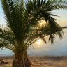 mhmttskrn@1 profil fotoğrafı