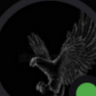 Shadow_Falcon1 的头像
