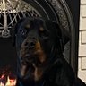 Derek Brown's profile picture