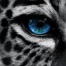 الصيدلي/ فهد الغوينم العنزي profil fotoğrafı