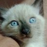 Lilia s profil fotoğrafı