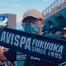 かずどん🐝⭐️香椎's profile picture
