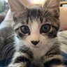 MX5 profil fotoğrafı