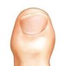 Profilbild von Cryptofungus