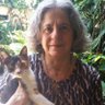 Фото профиля Vera Lúcia Pedroso