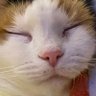 Profilbild von tay