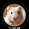 清晖夜凝🌙 profil fotoğrafı