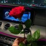 Фото профиля Fatima