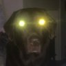 1OF8B - 🫥🫠(Parody)'s profile picture
