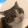 Minouche's profile picture
