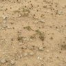 انا سوداني's profile picture