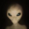Profilbild von Grey