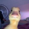 Profilbild von Soso125