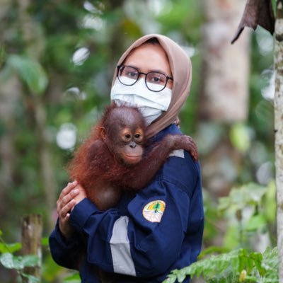 indi's profile picture