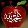 Фото профиля hussein Mohamed