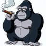 KONG profil fotoğrafı
