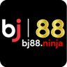 Profilbild von BJ88