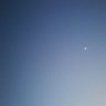 つくねの狐's profile picture