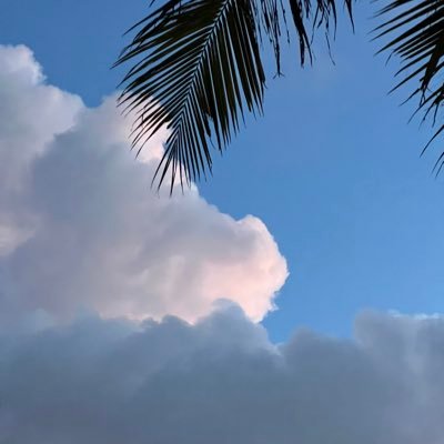 🌈's profile picture