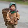 🇳🇵Dpk 🛡️ profil fotoğrafı