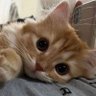 reyy's profile picture