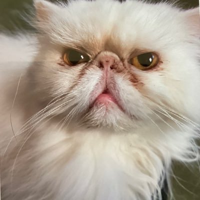Cath_RN95's profile picture