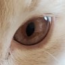 Profilbild von MR INVESTOR 👁️