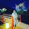H Kübra Yüce profil fotoğrafı
