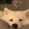 Profilbild von jin