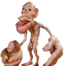 Фото профиля Sensory Homunculus