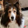 Judy O'Rourke profil fotoğrafı