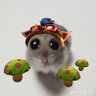 bunny / tige ʚɞ's profile picture